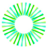 Sunrise Energy Metals Ltd
