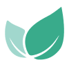 Evergreen Stable World Fund