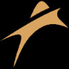Amneal Pharmaceuticals Inc - Class A