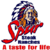 Spur Corp Ltd